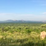 Kruger-National-Park