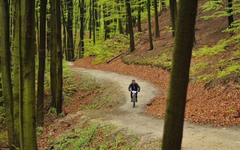 rcp-uphill-mtb-2016