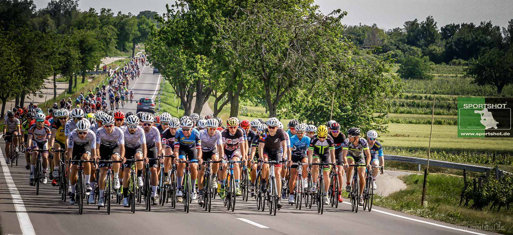 Leithaberg 2019