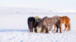 Trip to Iceland 2018