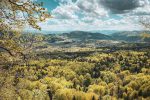 MTB Handlova Veľký Grič