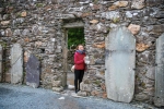 Vizitat Irlanda