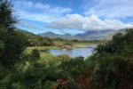 Vizitat Irlanda