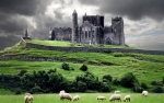 Vizitat Irlanda