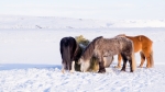 Trip to Iceland 2018